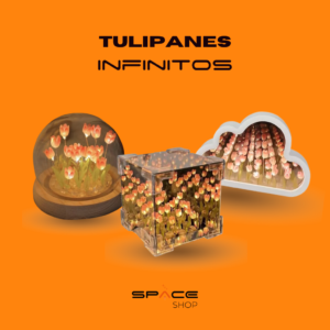 Tulipanes infinitos